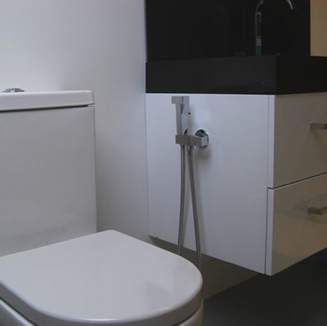 BRA5700: Cubic style bidet shower kit
