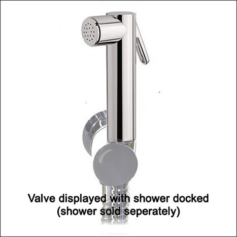 VAL2400:Auto-promt water shut off valve with shower mount