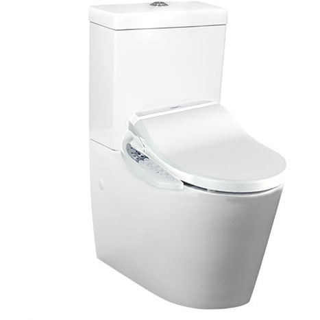 CCP-7235-SH: Wash and dry shower toilet