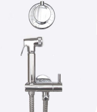 KIT6200: Thermostatically Controlled Bidet Shower Kit