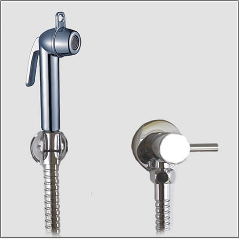 KIT1279: Pre-set Warm Water Bidet Shower