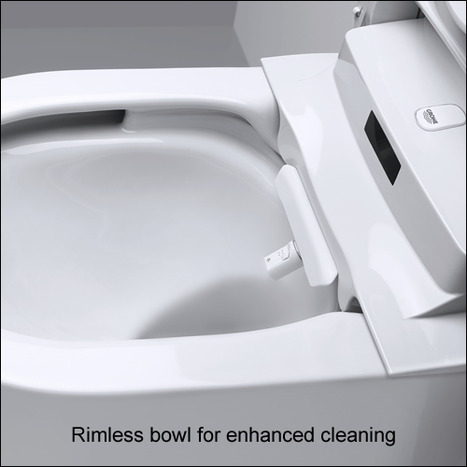 Grohe Sensia Arena Wall Hung Shower Toilet