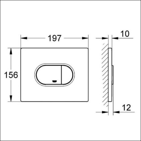 Grohe Arena Cosmo Flush Plate