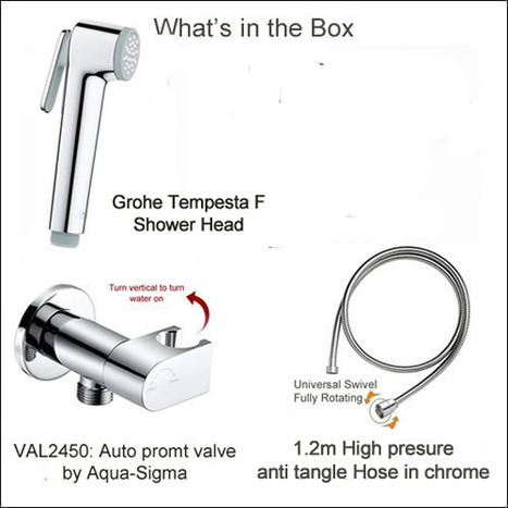 GROHE: Grohe Tempesta-F Bidet Shower with Auto Prompt Shut Off Valve
