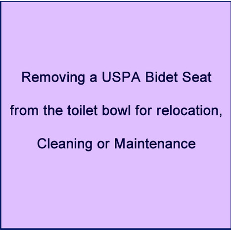 Services Integration Kit for Combined Bidet Toilet