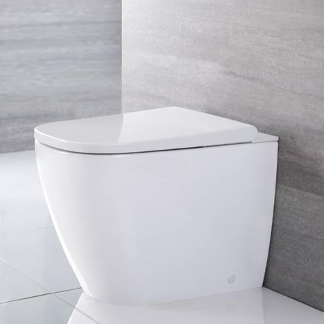 Japanese style smart toilet bidet