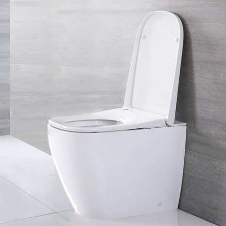 bidet toilet japanese smart shower close coupled 1168 showers