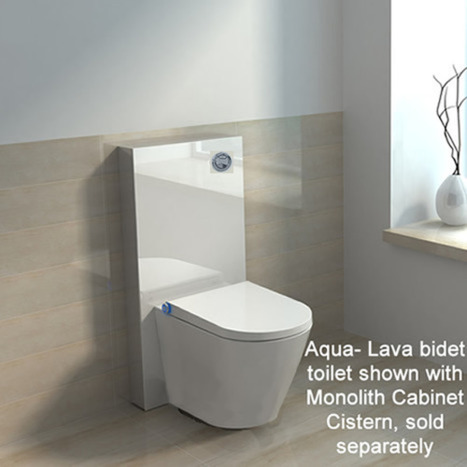 Japanese style smart toilet bidet
