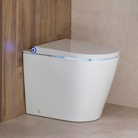 Japanese style smart toilet bidet