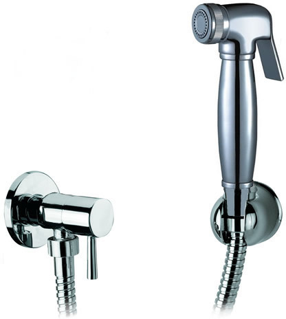 BRA2990: Bidet Shower & Valve