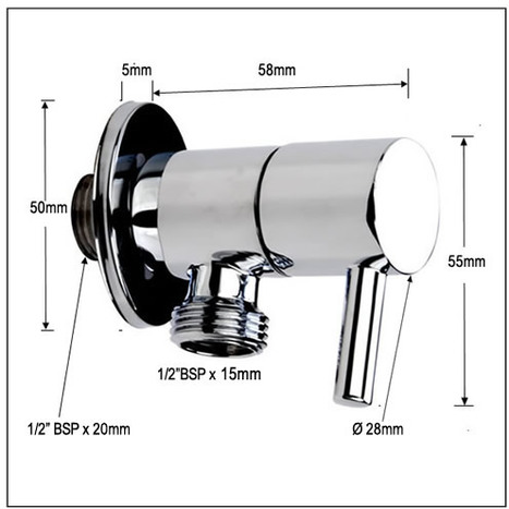 BRA2990: Bidet Shower & Valve