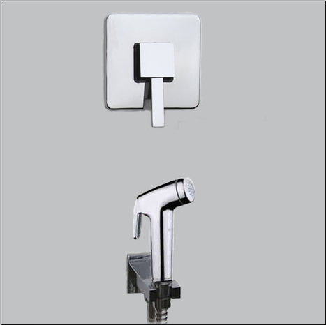 KIT4500: Warm Water Bidet Shower