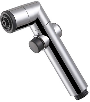 ERG2000: Combination Bidet Shower & Toilet Jet Cleaner