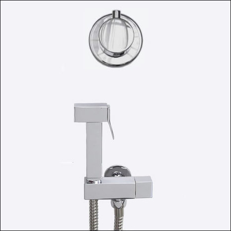 KIT6300: Thermostatically controlled douche shower kit